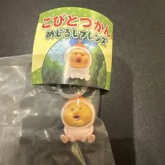 こびとづかん めじるしフレンズ　カクレモモジリ
