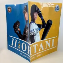 大谷翔平 プロ初登板記念 クリアファイル 観戦証明書付き - メルカリ
