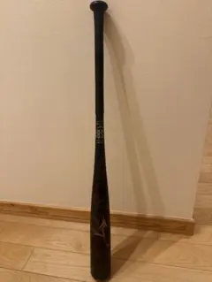 Item thumbnail for item 76399181-de78-4713-a761-3708a52e503b