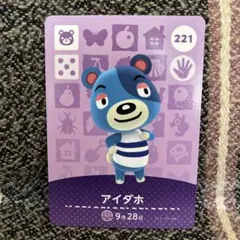 アミーボカード　アイダホ