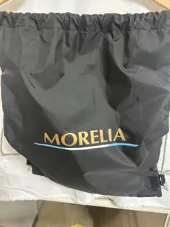 Item thumbnail for item 8e73a01c-403f-4cec-91b2-1ba06d5ef79c