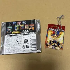 【匿名配送】僕のヒーローアカデミア　パッケージ風キーチェーン　エンデヴァー