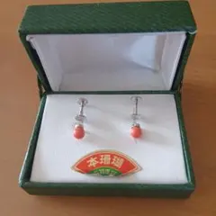 珊瑚　イヤリング未使用