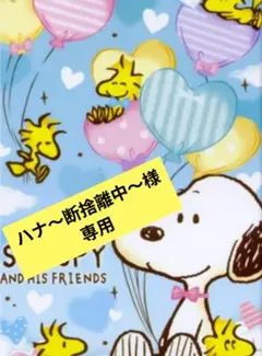 ハナ〜断捨離中〜様専用