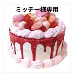 フェイクスイーツ　ミッチー様専用