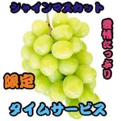 限定大阪 南河内 俺のぶどう シャインマスカット 2キロ - メルカリ
