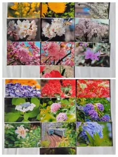 Item thumbnail for item cdea6ed4-abf2-4552-ae74-b5c08fb2d2f1