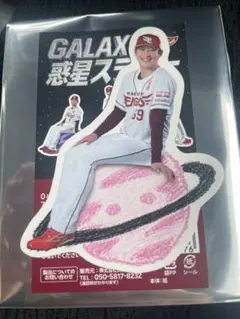 内星龍　惑星ステッカー