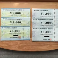 ビックカメラ＆コジマ株主優待券 6000円分 2026年5月31日まで