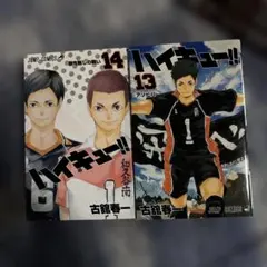 みなみん様専用　ハイキュー!! 13巻 14巻 セット