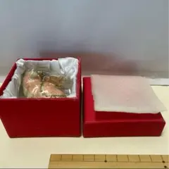 ☆新品/未使用☆ 幸運を呼ぶフライングピック　アクセサリーケース (化粧箱付)豚