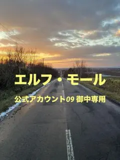 2026年最新】エルフ・モール公式アカウントの人気アイテム - メルカリ