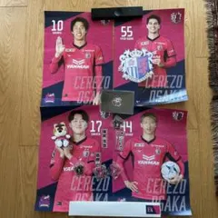 セレッソ大阪 スポーツ選手