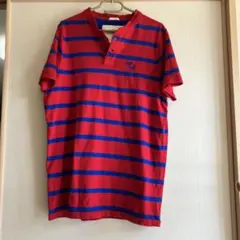 abercrombie&fitch Tシャツ