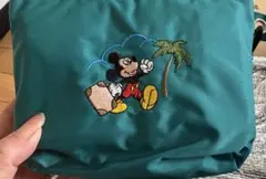 Disney Resort Vacation Packages 折畳みバッグ限定