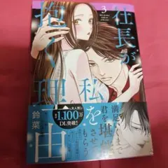 社長が私を抱く理由 3