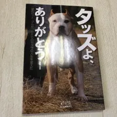 Item thumbnail for item e71687ba-58f9-4066-9ae3-07ec6b3fd98b