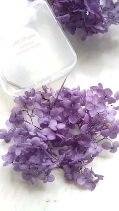 みどり様 リクエスト 2点 まとめ商品