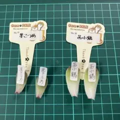 2026年最新】ファームパルクの人気アイテム - メルカリ