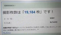 SONY α55 本体 レンズ4本・バッグセット - メルカリ