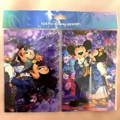 ディズニーイマジニングザマジックポストカード2枚セット