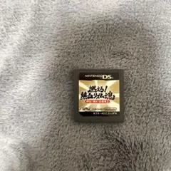 燃えろ!熱血リズム魂 (Nintendo DS)