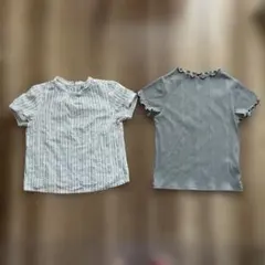 PROPORTION BODY DRESSING ブラウス　カットソー　２枚のサムネイル