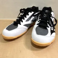 極美品✨MIZUNO ミズノ クロスマッチソード 2 卓球シューズ 26.5cm
