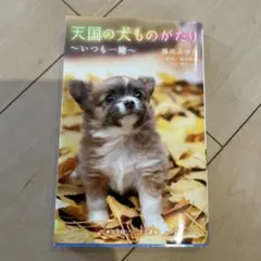 天国の犬ものがたり ～いつも一緒～