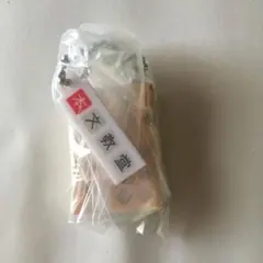 Item thumbnail for item ebe44550-2ce5-440b-988b-424143d260df