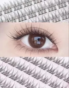 Item thumbnail for item 5714a081-046e-4640-b567-9ac09de55e35