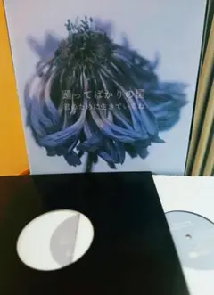 岡崎友紀「Do You Remember Me 」カセットテープ当時物 - メルカリ