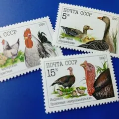79617セール現品限 外国切手 国連発行絶滅危惧種4種揃田型 - メルカリ