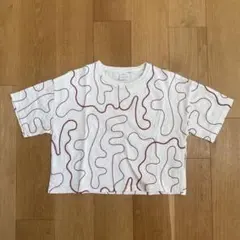 ZARA ショート丈Tシャツ/トップス　11-12y 152のサムネイル