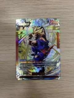 孫悟飯　青年期　パラレル