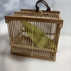 수제 대나무 버그 케이지