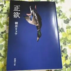 正欲　朝井リョウのサムネイル