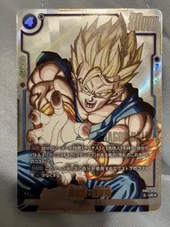 孫悟飯　青年期 UCパラレル MANGA BOOSTER 02