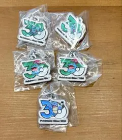 ポケモン　30周年　メタルチャーム　めじるしチャーム
