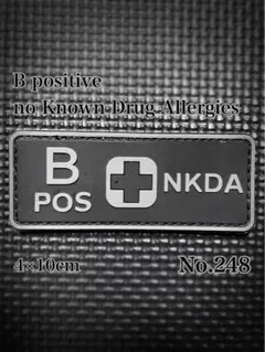 B型　サバゲー ミリタリー ベルクロ パッチ ワッペン