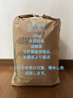 2025年収穫　コシヒカリ10キ精米済み白米　三重県産 コシヒカリ 米 魚沼産コシヒカリ 10kg 2025年 最高級 お米 新米 : 酒と