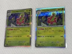 포켓몬 カード メガニウム R 005/063 2장 세트
