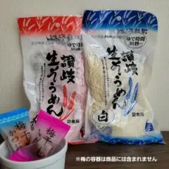 讃岐生そうめん 　【2食入り×2袋/計4食分】のサムネイル