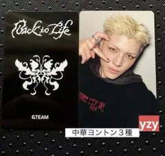 &TEAM MAKI Back to life 中華 ヨントン 追加6.0 - メルカリ