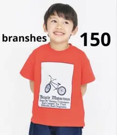 【美品】branshes ブランシェス　半袖　Tシャツ　150