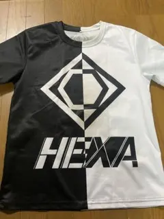 HEXA バイカラー Tシャツ