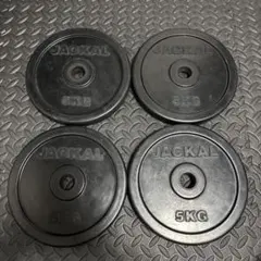 引取り限定 ダンベルプレート 20kg6枚 バラ売りOK 引取り限定 7/4までこの価格！ ダンベルプレート 20kg6枚 バラ売りOK