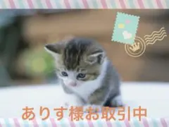 ありす様 リクエスト 8点 まとめ商品