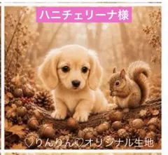 ハニチェリーナ様　パネル生地