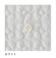 C&S オリジナルコットン　プルメリア　ホワイト　0.5m